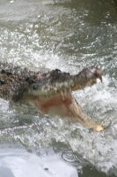 U rek  napisy beware of crocodile jsou caste, ale krokodyli jsou to hodni.